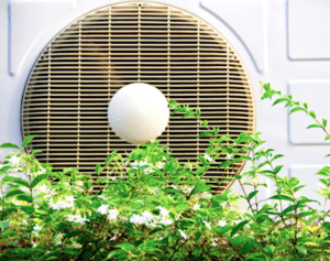 AC with Vegetation